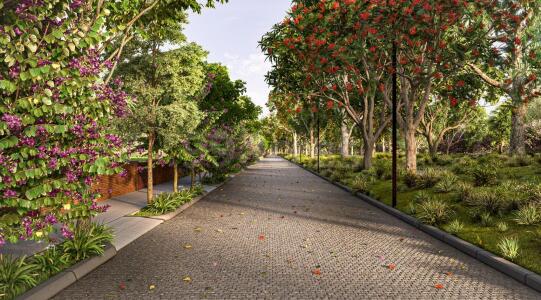 Total Environment Tangled Up in Green Internal Road