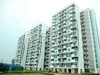 2 BHK Apartment / Flat for sale in TATA NEW HAVEN Sector 37 Bahadurgarh ...