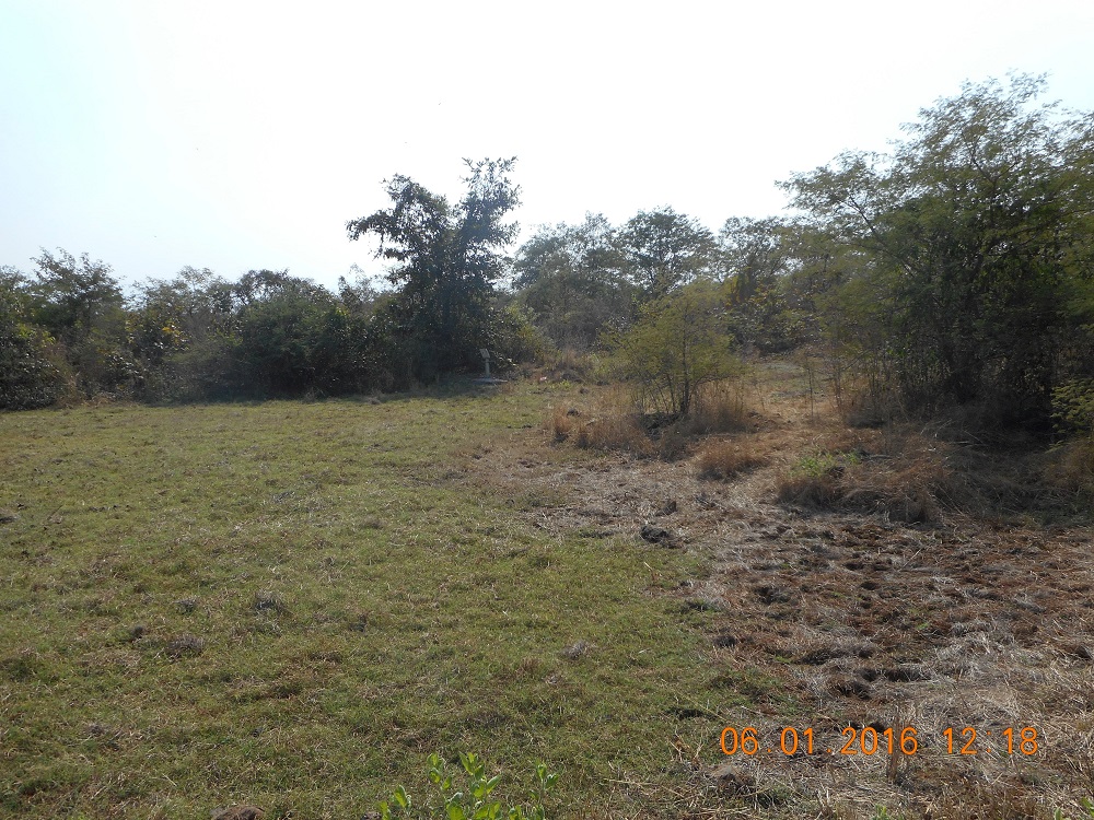 Temple Rose Real Estate Builders Rose Royale Phase 1 Photos Sayle, Mumbai Pictures