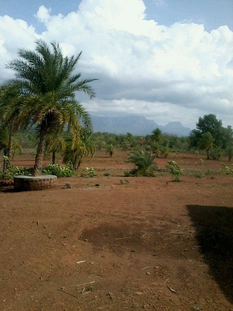 Temple Rose Real Estate Builders Rose Royale Phase 1 Photos Sayle, Mumbai Pictures