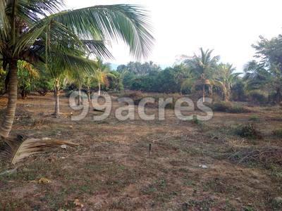 The Tubki Gulem Site View