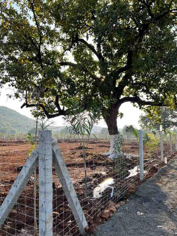 Jungle Farm Photos And Videos Kailwas, Jabalpur Pictures