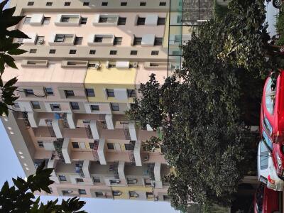 Magarpatta Cosmos Apartment Elevation