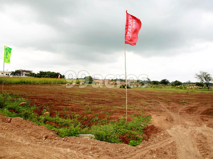 Akshita Golden Ridge Site View