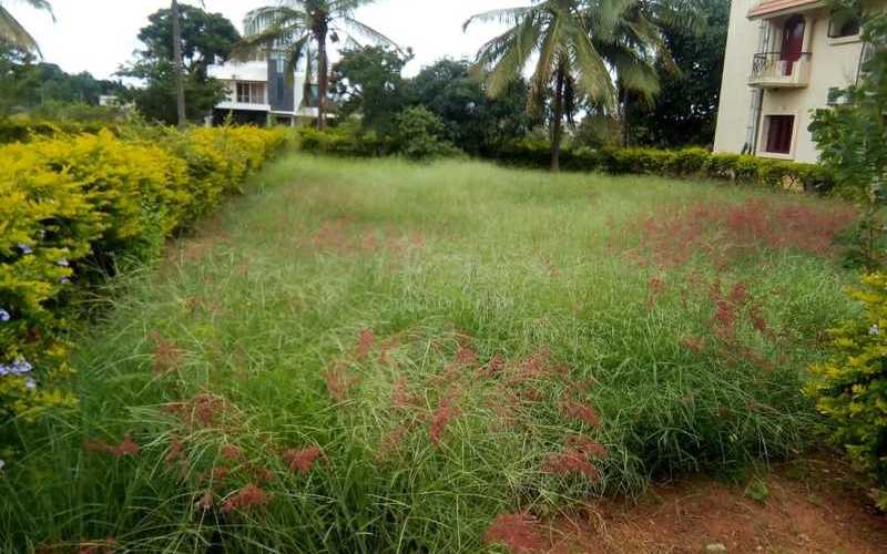 Hollywood Town Photos Devanahalli, Bangalore North Pictures