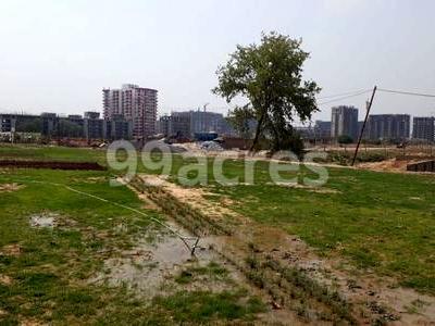 HUDA Plots Site View