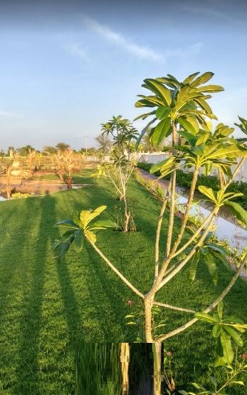 Riyasat Vatika Site View