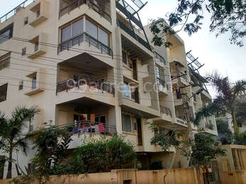 ambara whitefield