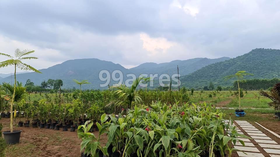 Araku Valley Eco Resorts Visakhapatnam, Araku Road Resale Price List ...