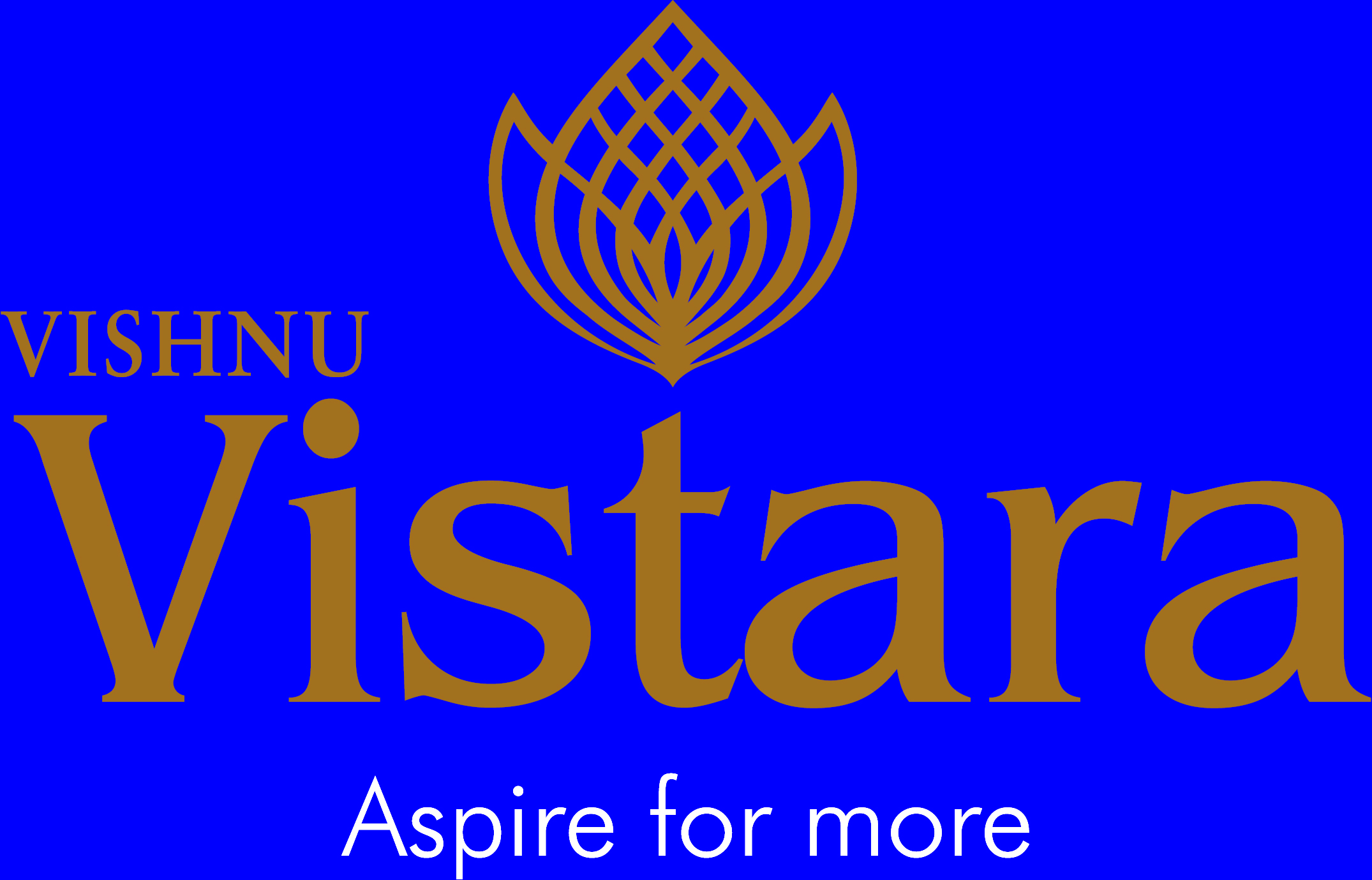 Experts divided on 'Vistara' brand appeal | Mint