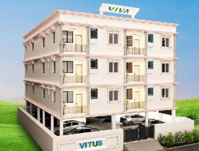 Viva Vitus Grocery Shop