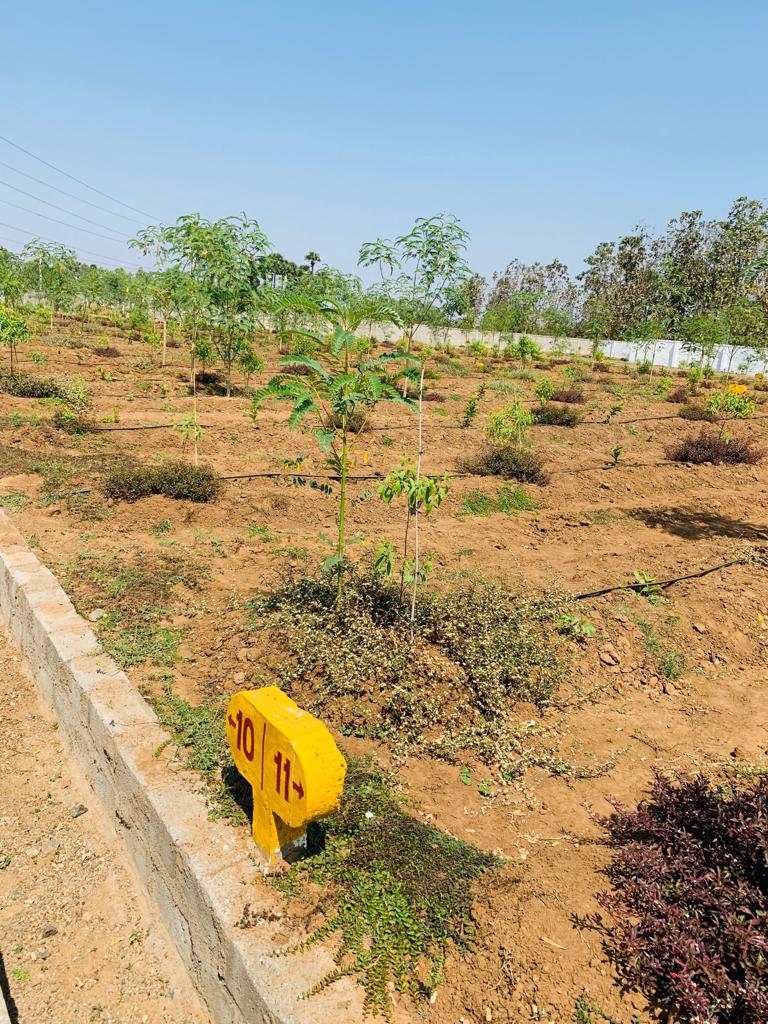 Vivaan Group Visakhapatnam Vivaan Aroma Gardens Photos Kothavalasa