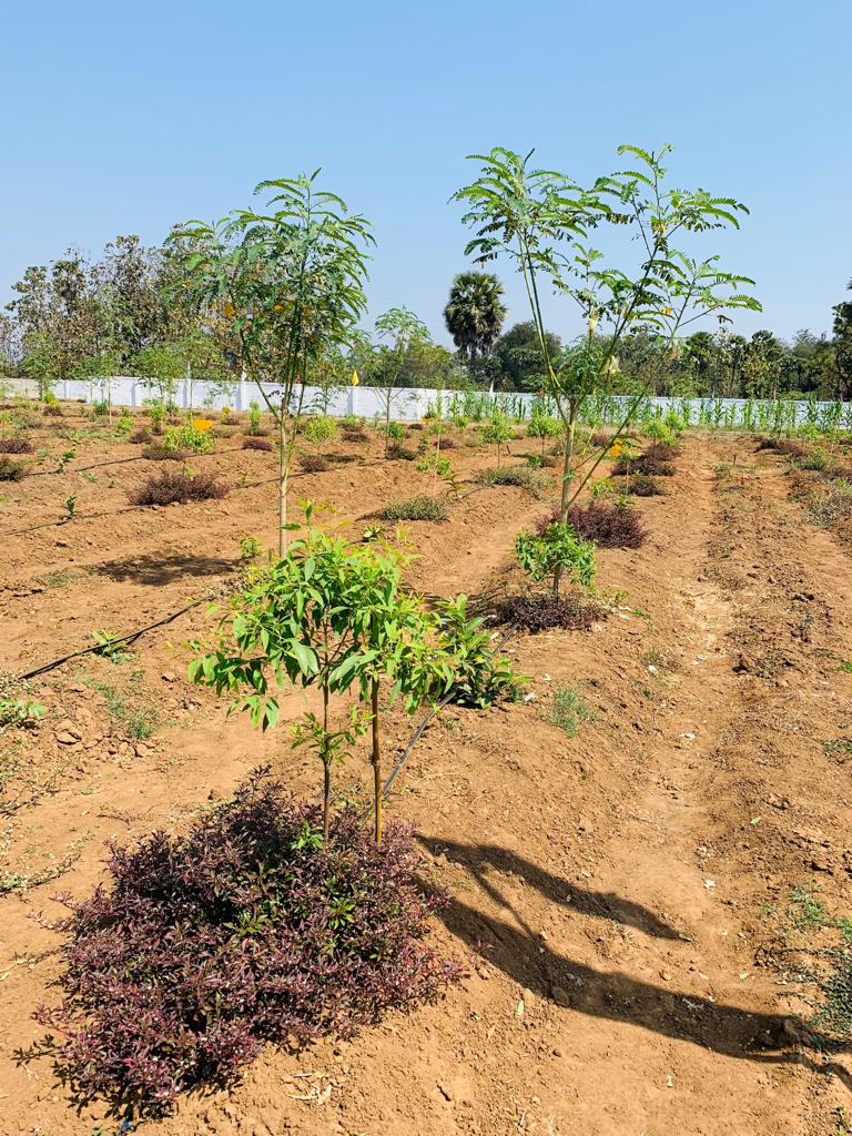 Vivaan Group Visakhapatnam Vivaan Aroma Gardens Photos Kothavalasa