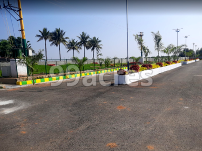 V M Township Site view