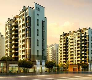 VVIP Nest Elevation