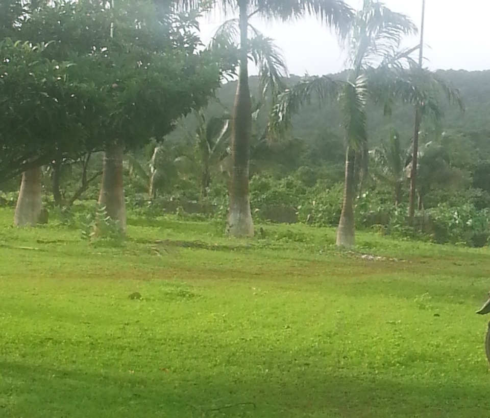 White House Group of Companies White House Land Parcel Photos Murud