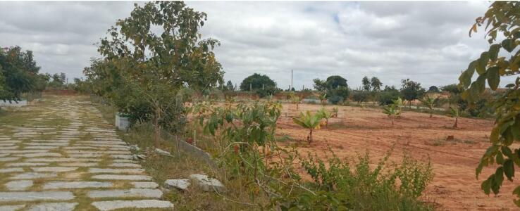 Yesh Akshaya Sambrama Site View