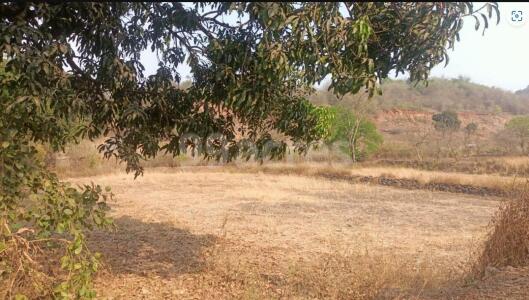 Zamindar Plots Ranjanpada Site View